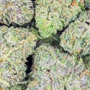 BLUEBERRY GELATO cheap weed canada