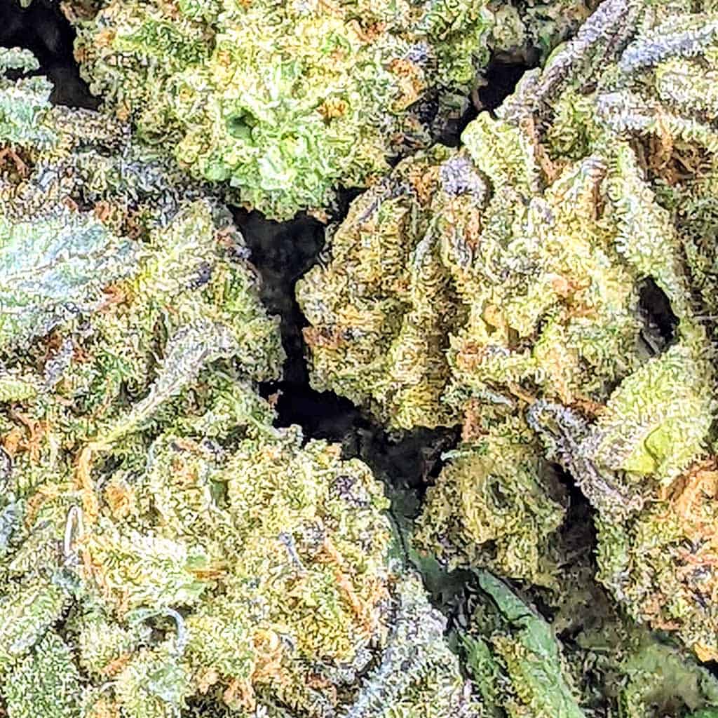 Apricot OG Budget Buds Buy Weed Online Online Dispensary