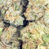 BERRY WHITE cheap weed canada