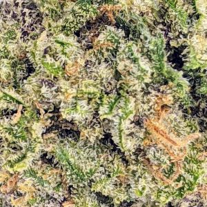 GELATO AAA+ POPCORN buy weed online