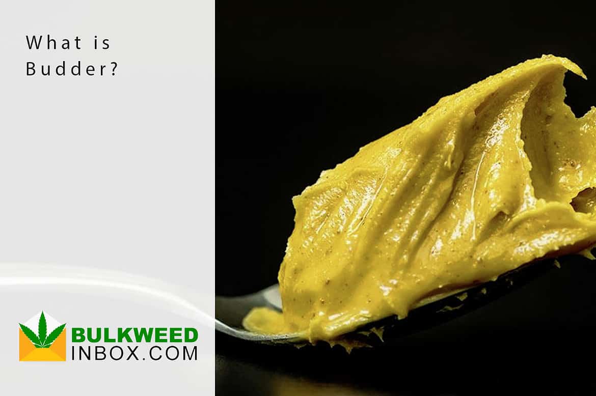 what is budder