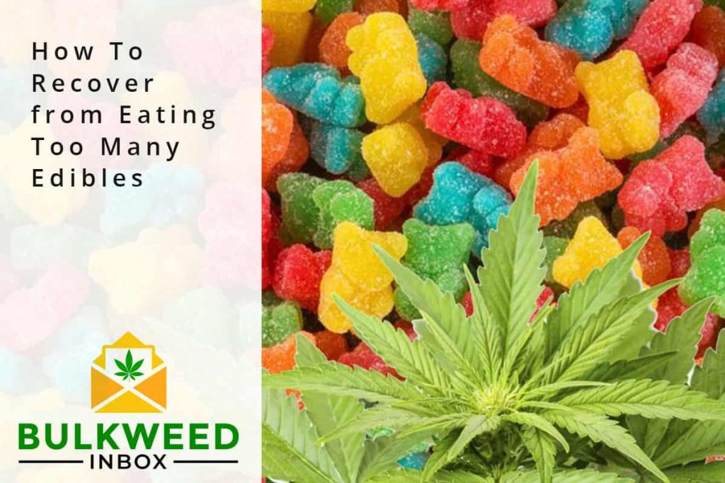 How To Recover From Eating Too Many Edibles | Bulkweedinbox