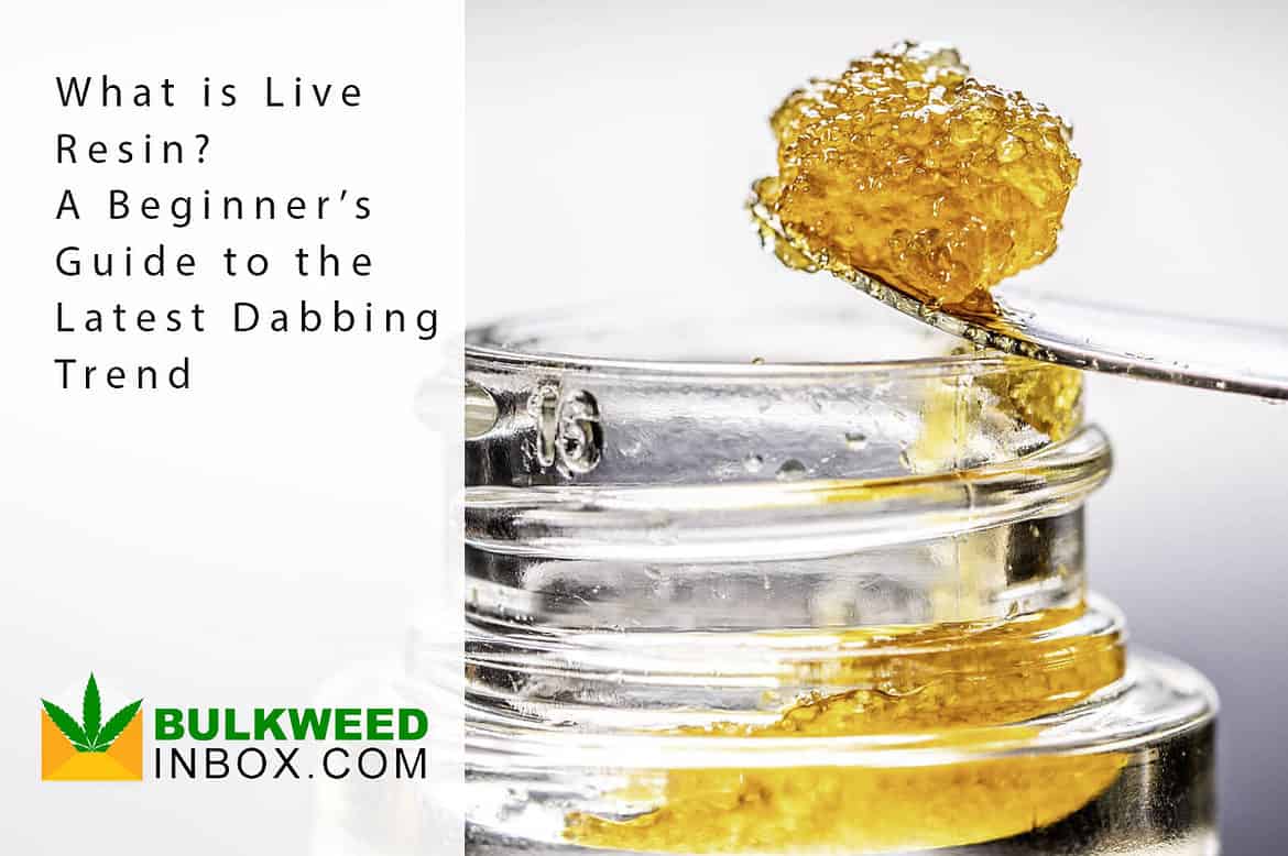 what is live resin