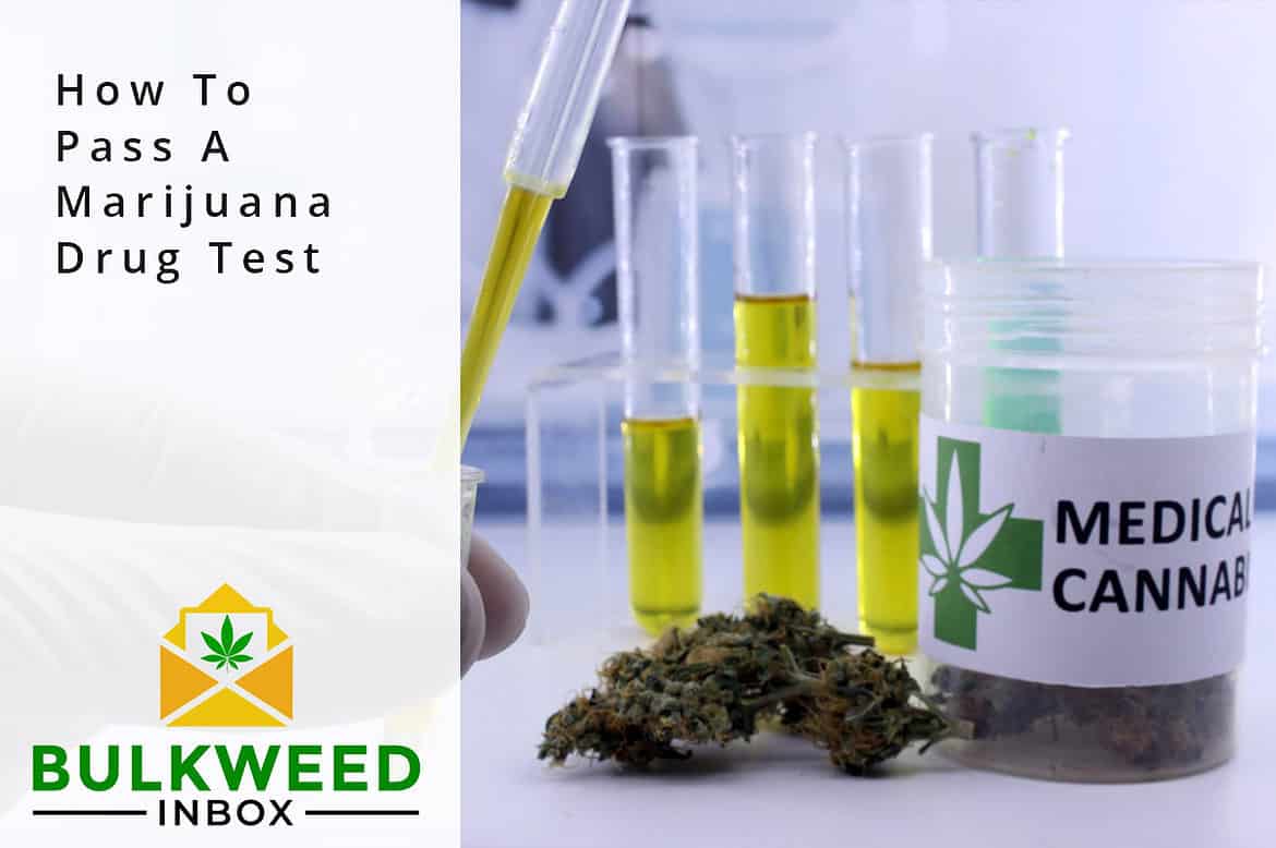marijuana drug test