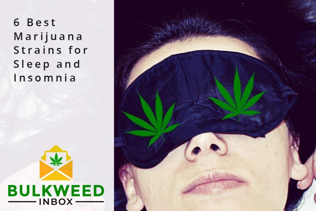6 Best Marijuana Strains for Sleep and Insomnia Bulkweedinbox