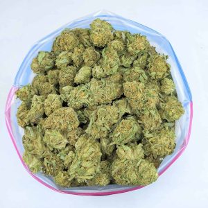 APRICOT SHERBET cheap weed