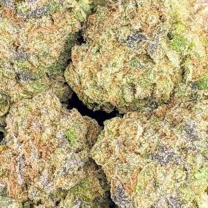 BLUEBERRY CHEESECAKE cheap weed canada