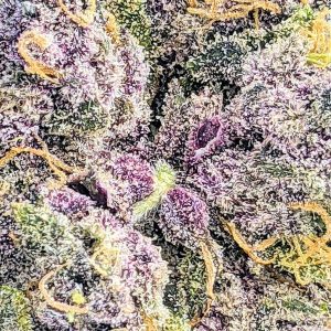 PURPLE HAZE online dispensary canada