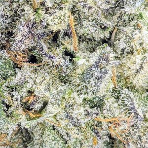 THE TOAD BY MIKE TYSON - TYSON FARMS CRAFT online dispensary canada