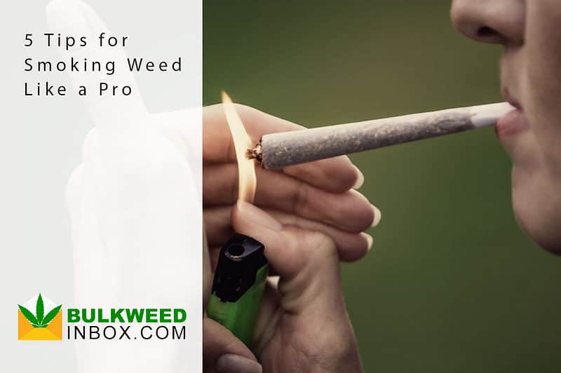 5-tips-for-smoking-weed-like-a-pro-bulkweedinbox