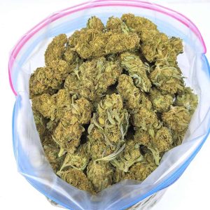 GATOR BREATH cheap weed canada