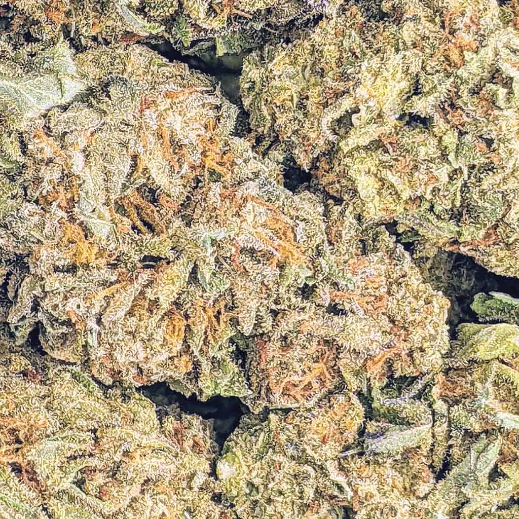 Pineapple Trainwreck Budget Buds | Buy Weed Online | Online Dispensary