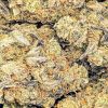 SOUR DIESEL cheap weed canada