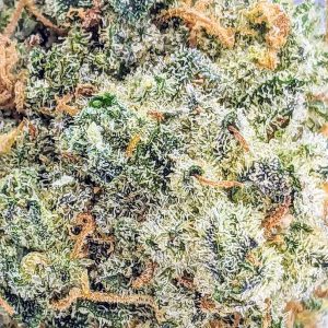 COTTON CANDY AAAA CRAFT POPCORN online dispensary canada