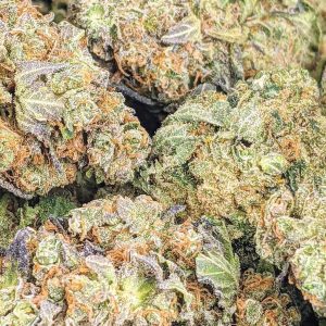 FRUITY PEBBLES cheap weed canada