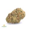 GASSY-BUBBA-KUSH-cheap-weed-canada-2