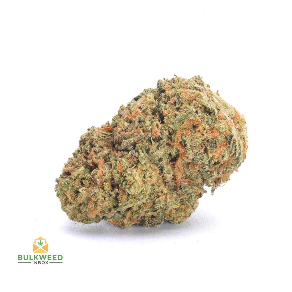 GASSY-BUBBA-KUSH-cheap-weed-canada-2