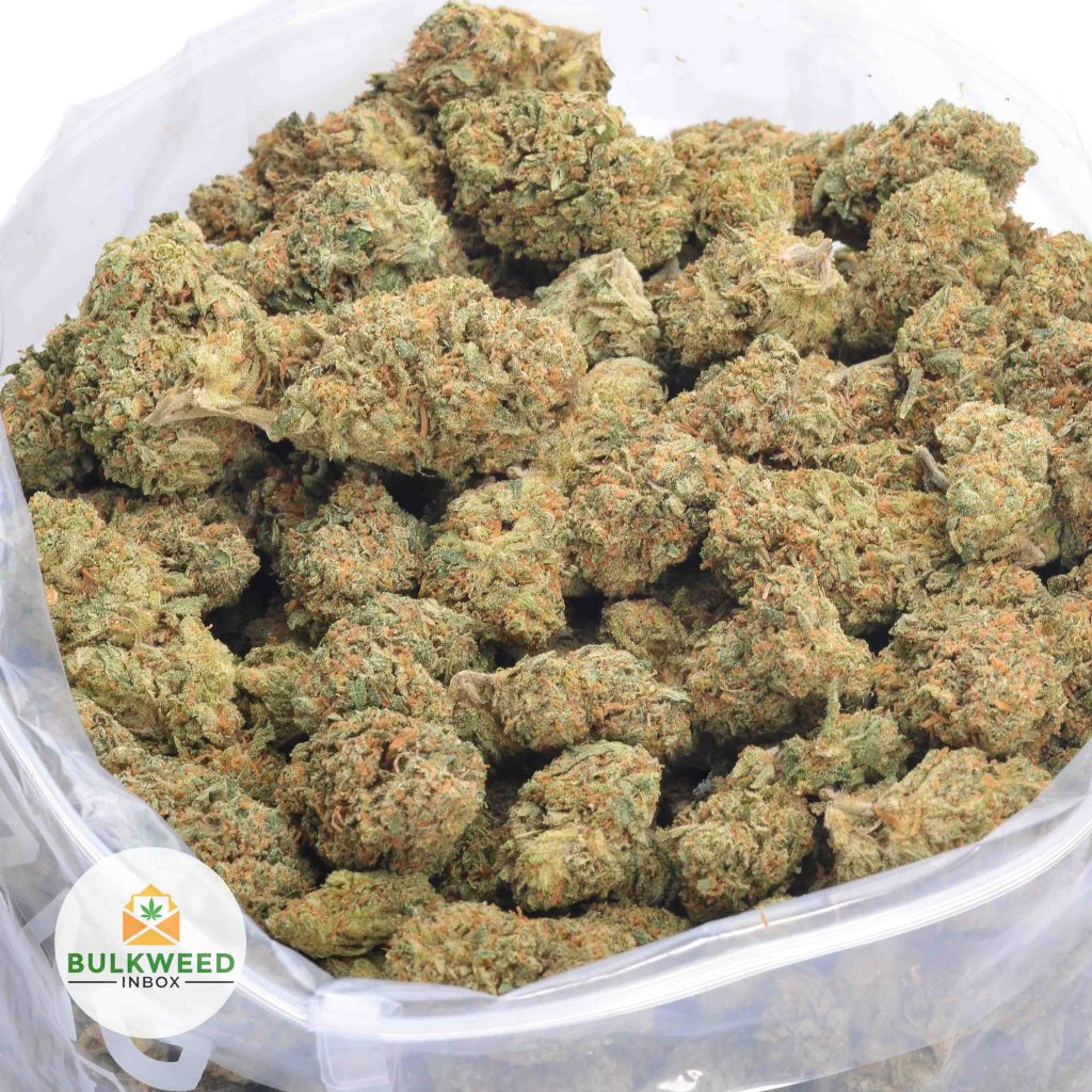 GASSY-BUBBA-KUSH-online-dispensary-canada