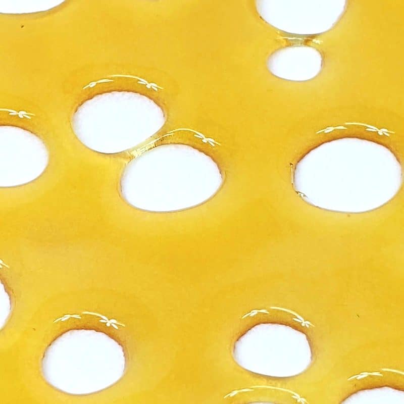 LIT EXTRACTS - EL CHAPO SHATTER cheap weed canada