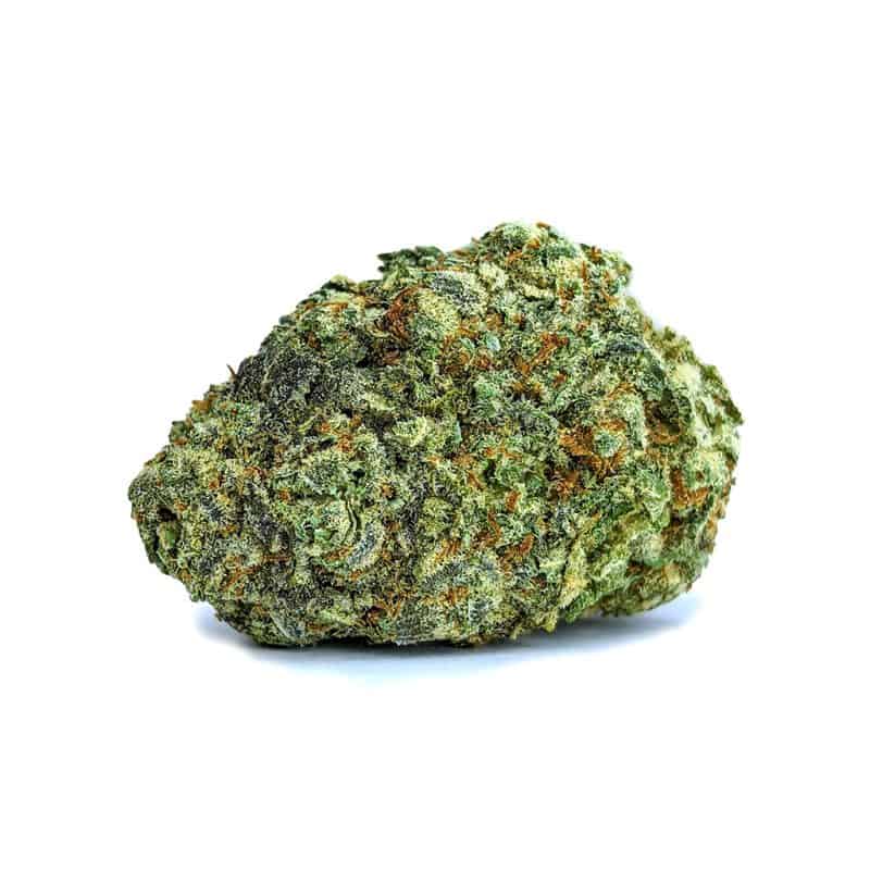 PITTBULL cheap weed canada