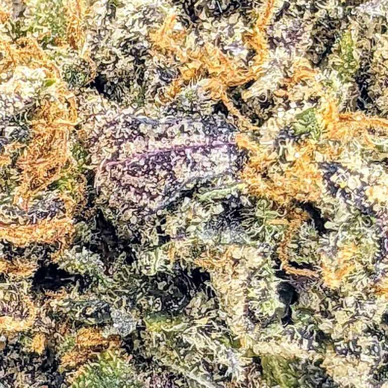 Purple Lemonade AAA Buy Weed Online Online Dispensary