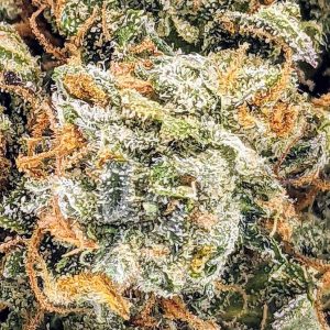 SWEET TOOTH online dispensary canada