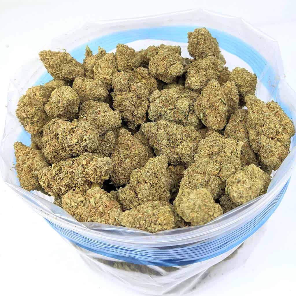 BLUE CHEESE online dispensary canada