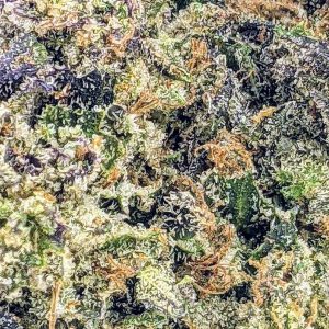 EL CHAPO - OKANAGAN RANCH cheap weed