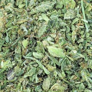 UBC CHEMO SHAKE WEED cheap weed canada