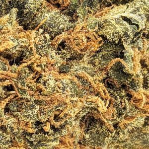 ROMULAN (WITH SEEDS) buy weed online