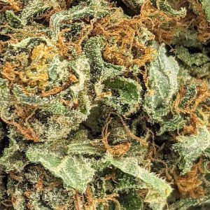 GREEN POISON online dispensary canada