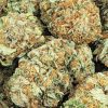 GREEN POISON cheap weed canada