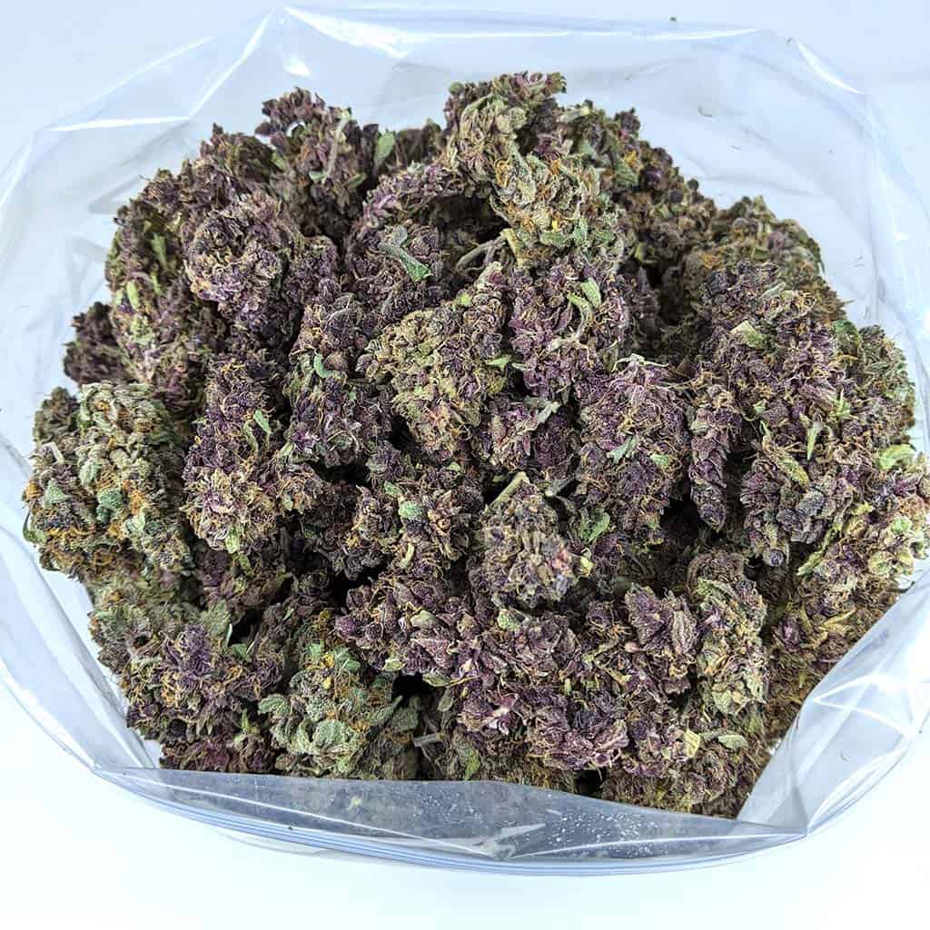 PURPLE POISON cheap weed
