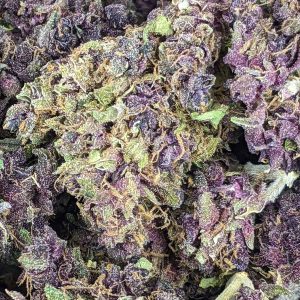 PURPLE POISON cheap weed canada