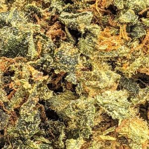 BLACK CHEESE online dispensary canada