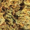 CITRUS KUSH online dispensary canada