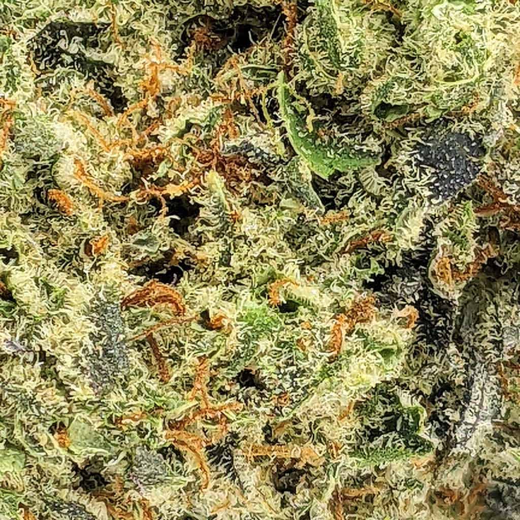 Cereal Milk AAA+ Buy Weed Online Online Dispensary