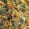 CITRUS COOKIES online dispensary canada