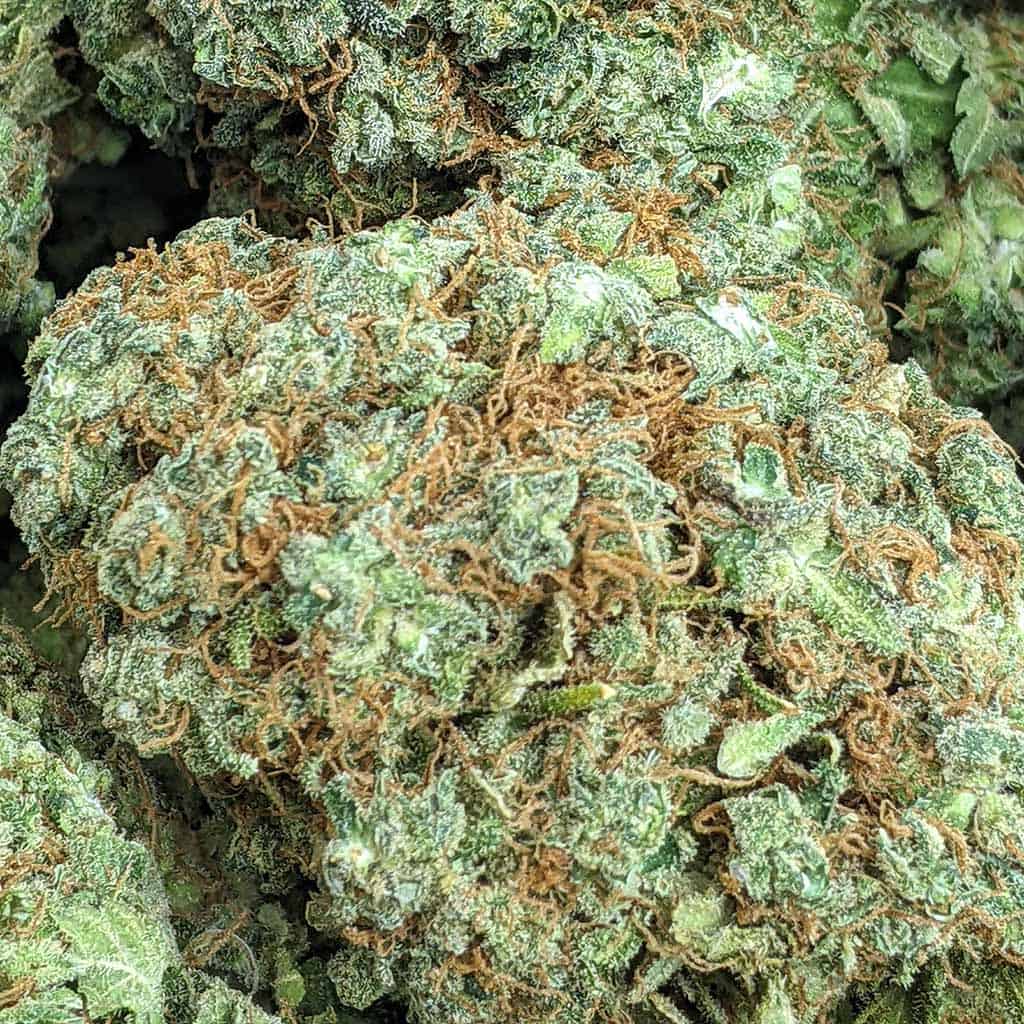BRUCE BANNER cheap weed canada