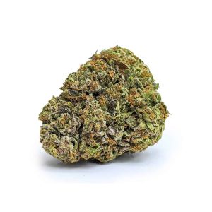 GREAT WHITE SHARK cheap weed canada