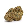 MOBY DICK cheap weed canada