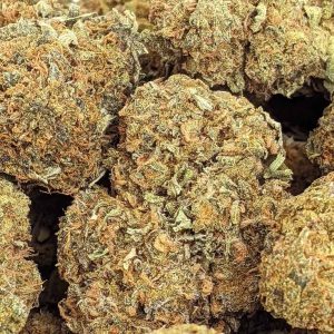 MOBY DICK online dispensary canada