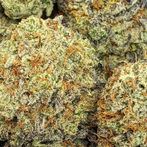 HOLY GRAIL cheap weed canada