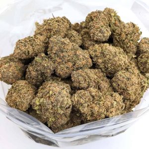 PURPLE PUNCH cheap weed