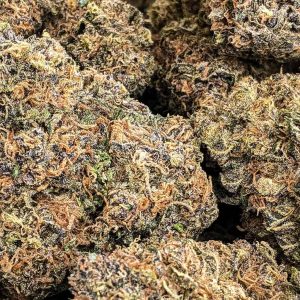 PURPLE PUNCH cheap weed canada