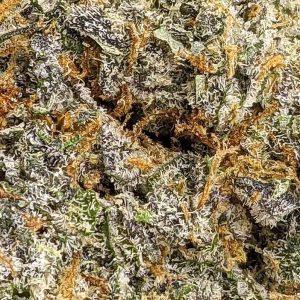 WHITE RUSSIAN online dispensary canada