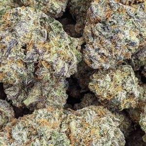 WHITE RUSSIAN cheap weed canada