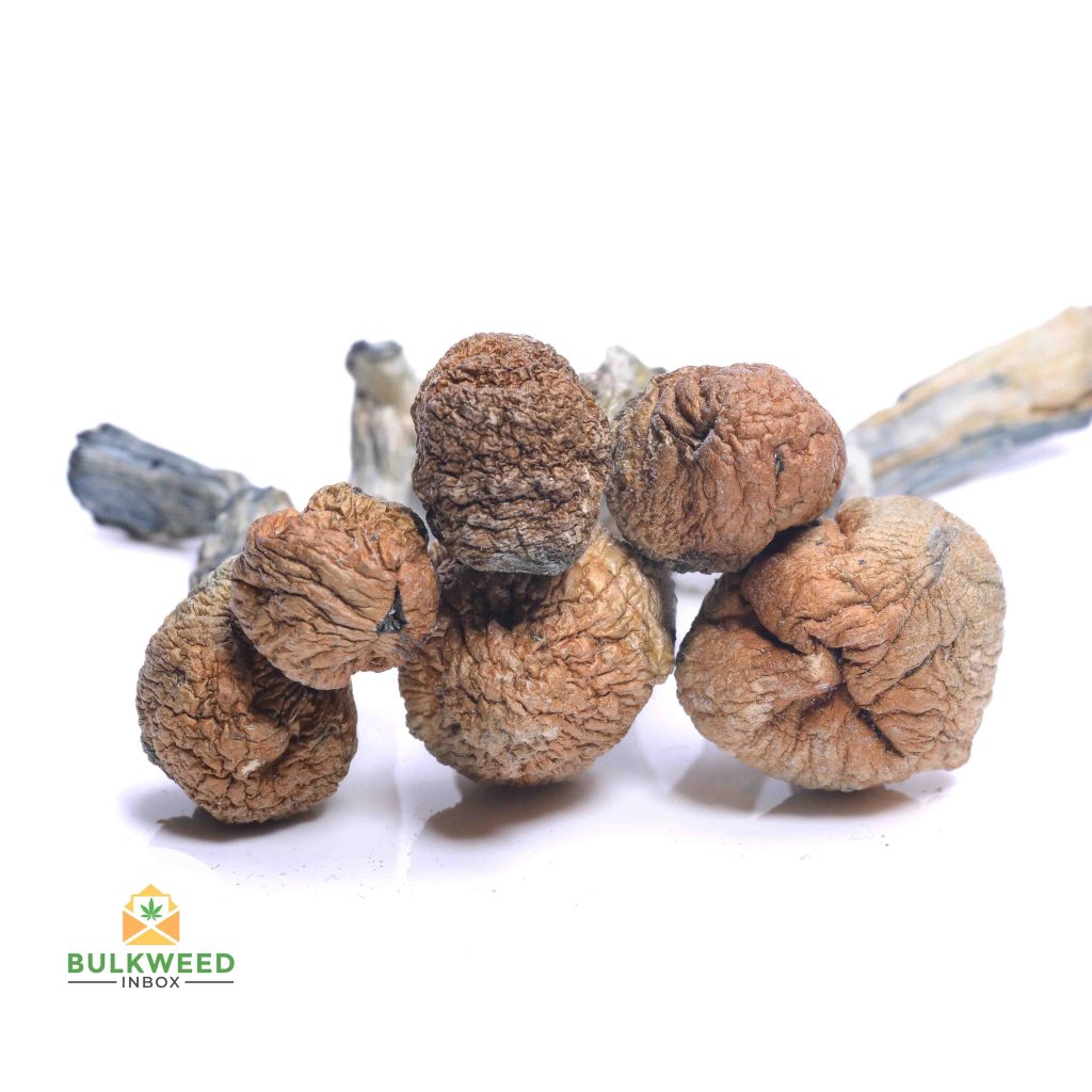 Stargazer Magic Mushrooms | Buy Weed Online | Online Dispensary