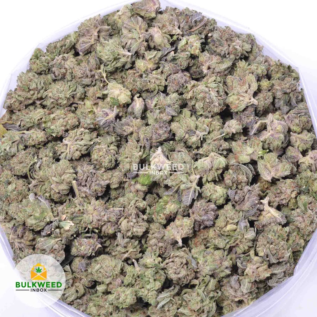 APPLE-FRITTERS-AA-POPCORN-online-dispensary-canada