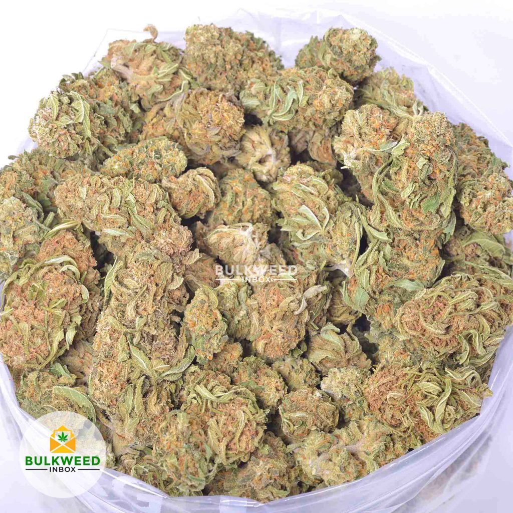 APRICOT-online-dispensary-canada-1